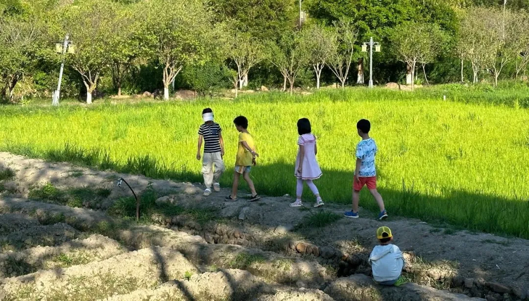 在田埂上玩耍的小朋友们