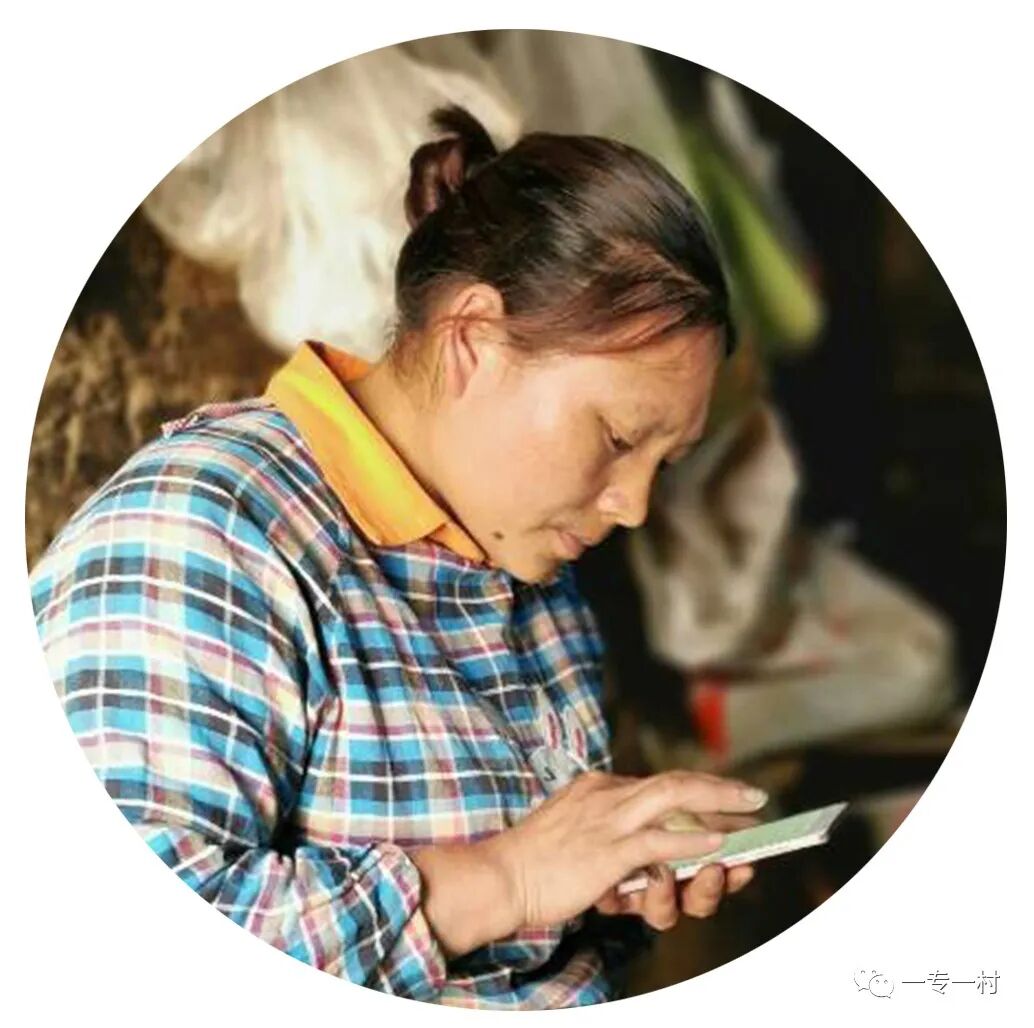 《水系避难所》——“一专一村”妇女施工队亮相上海双年展