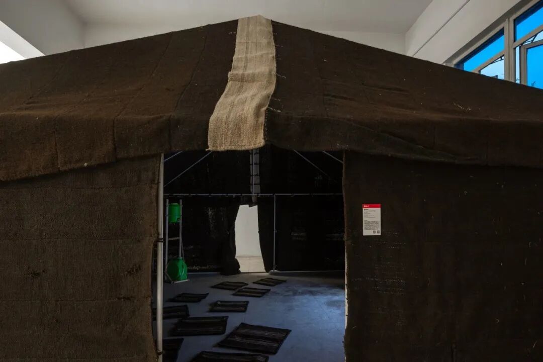 与万物合作，向居住学习