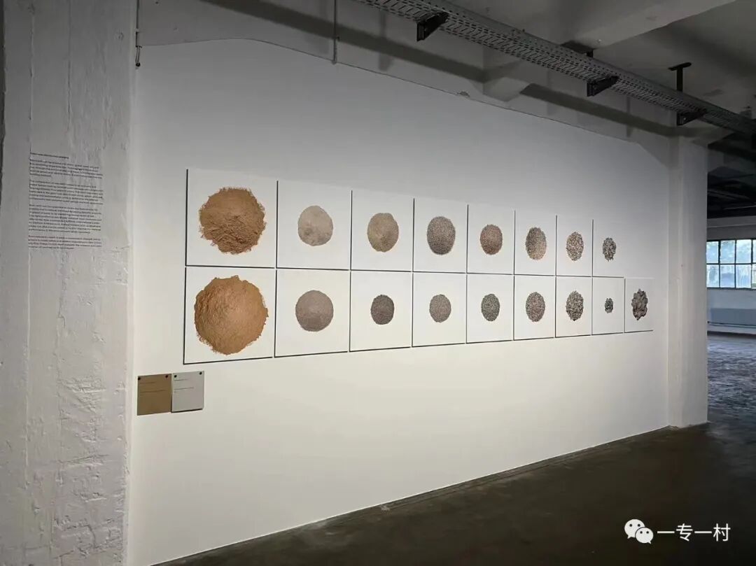 第15届卡塞尔文献展